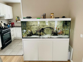 Aquarium verhuizen na aankoop marktplaats -pagina 2