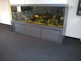 Aquarium verhuizen wegens verhuizing