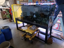 Aquarium verhuizen na aankoop marktplaats