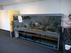 Aquarium verhuizen wegens verhuizing