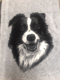 Vetbed Border collie