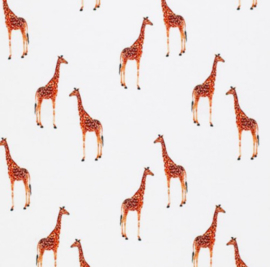 Broekje   |   Giraffe