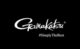 Gamakatsu Worm Hooks Offset EWG