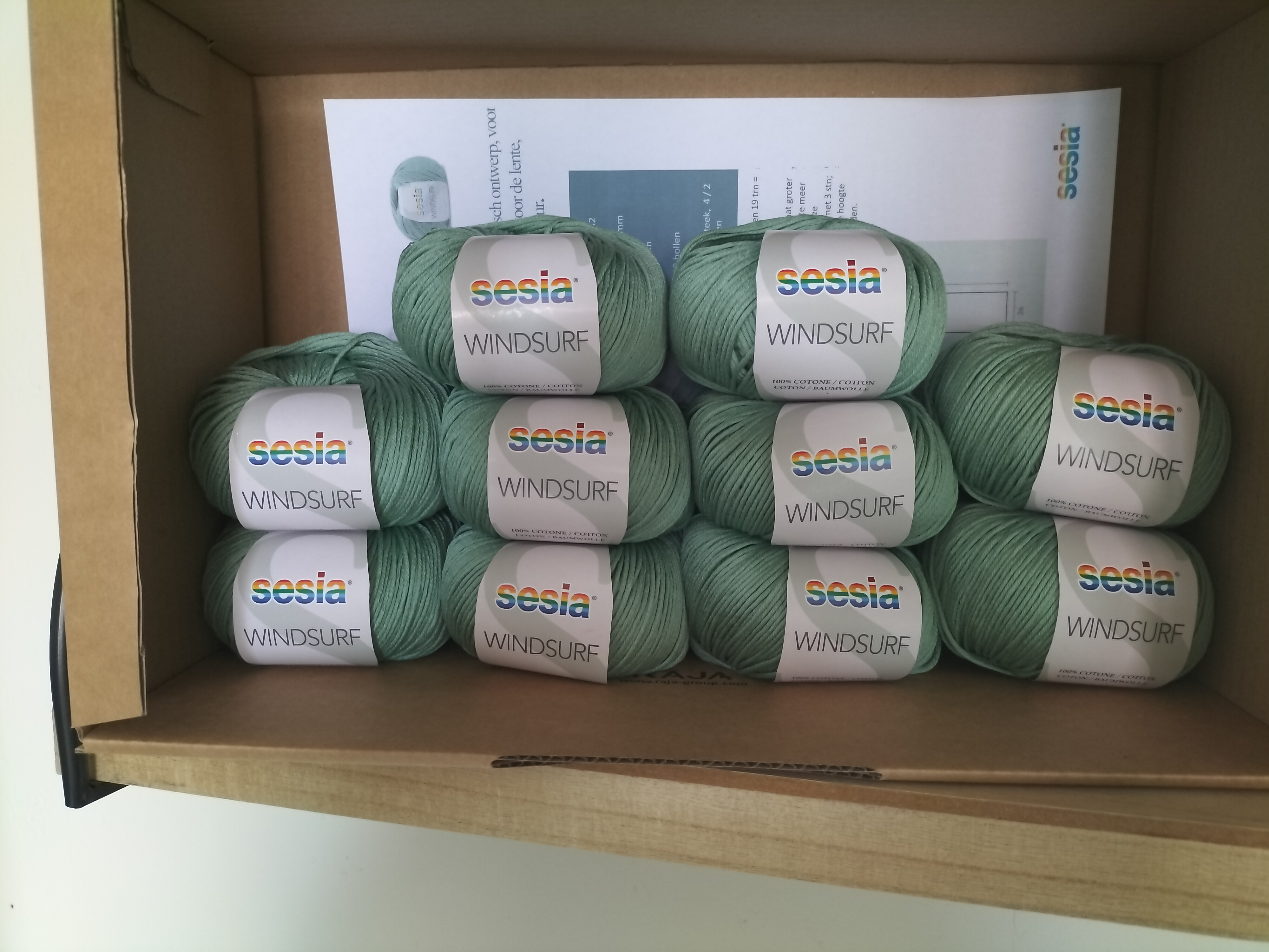 Sesia Patroon Miami