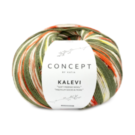 Kalevi socks      Kaki - Oranje - Geel