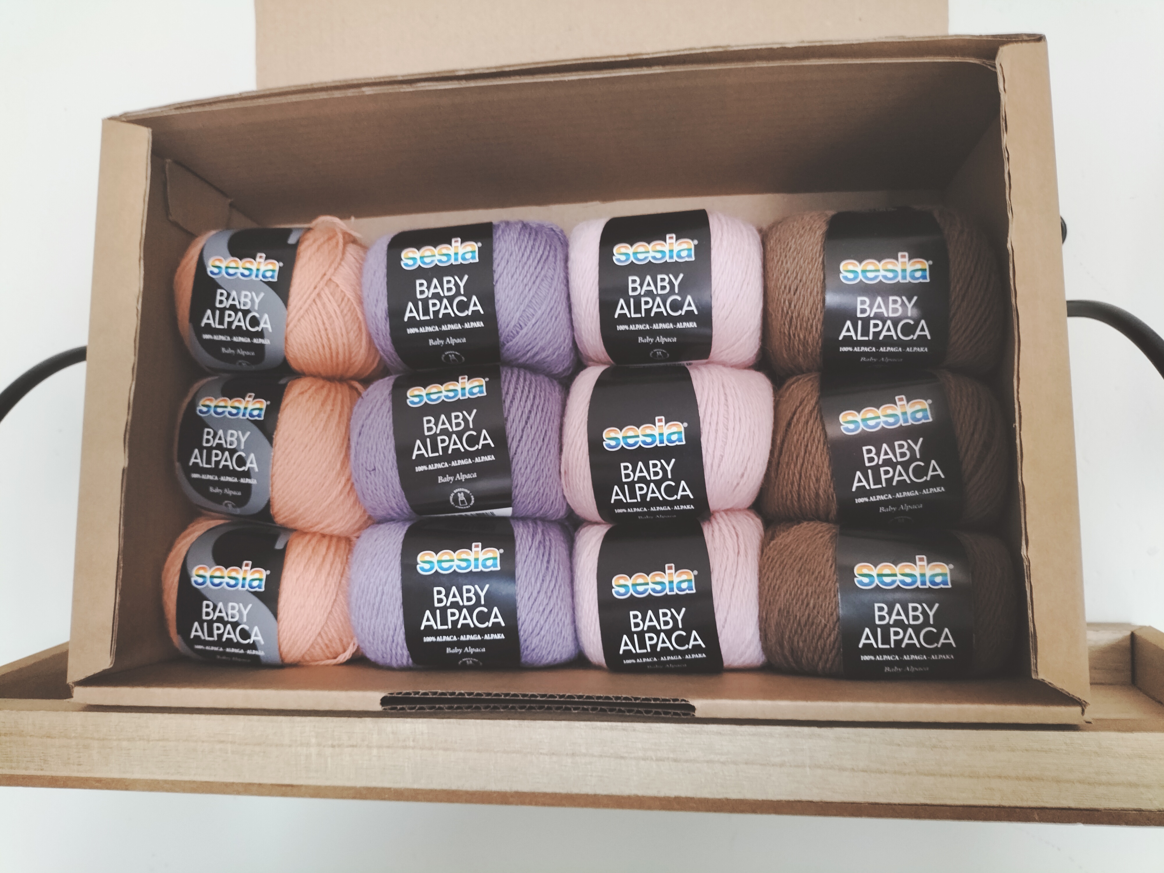 Sesia pakket  Camelia