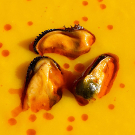 Pikante mosselen in kruidige saus