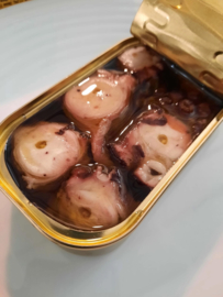 Octopus in extra vierge biologische olijfolie