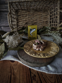 Makreelfilet in olijfolie