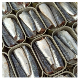 Sardines in extra vierge olijfolie (Lijn gevangen)
