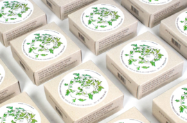 Kabeljauw pate met peterselie