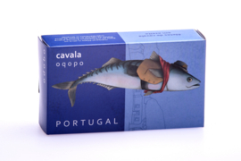 Makreelfilets in olijfolie (Alentejo)