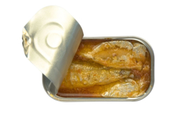 Sardines in tomatensaus