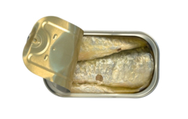 Sardines in extra vierge Olijfolie