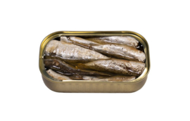 Gerookte kleine Sardines in extra vierge olijfolie