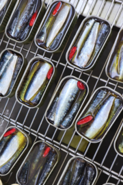 Sardines in pikante olijfolie