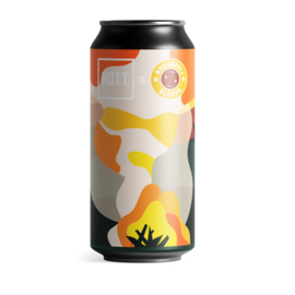 Brouwerij Eleven & ROTT - AM to PM to AM