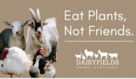 Magneet  'Eat Plants Not Friends'