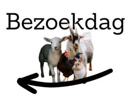 Bezoekdag zondag 22/06