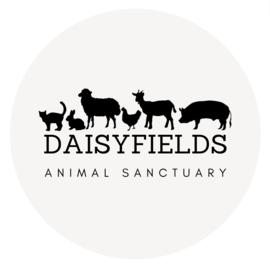 Sticker logo Daisyfields