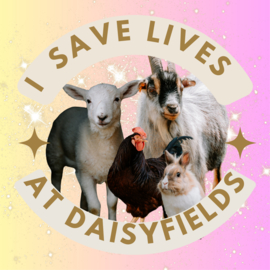 I save animals at Daisyfields sticker