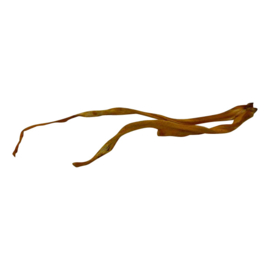 Gedroogde Cordyceps Heel
