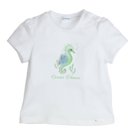 T-shirt Aerobic seahorse green