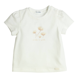 T-shirt Aerobic neutral flowers