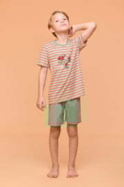 Woody | Jongens-Heren Pyjama, multicolor streep