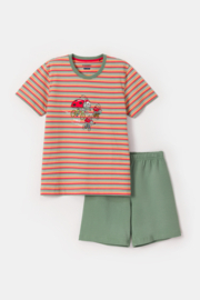 Woody | Jongens-Heren Pyjama, multicolor streep