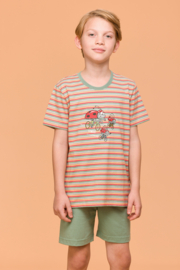Woody | Jongens-Heren Pyjama, multicolor streep