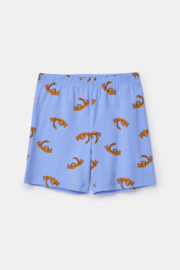 Woody | Jongens-Heren pyjama, blauw