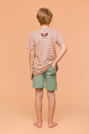 Woody | Jongens-Heren Pyjama, multicolor streep