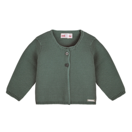 CONDOR - Cardigan lichen green