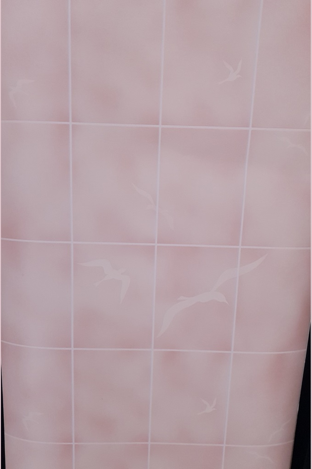 Roze vinyl met meeuwen