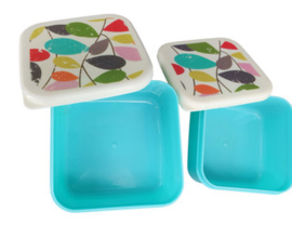 plastic voorraadbakjes