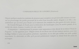 Vintage rozenposter, Compassion belle de Londres