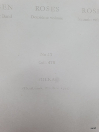 Vintage rozenposter, Polka