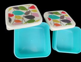 plastic voorraadbakjes
