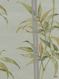 Bamboe japandi behang