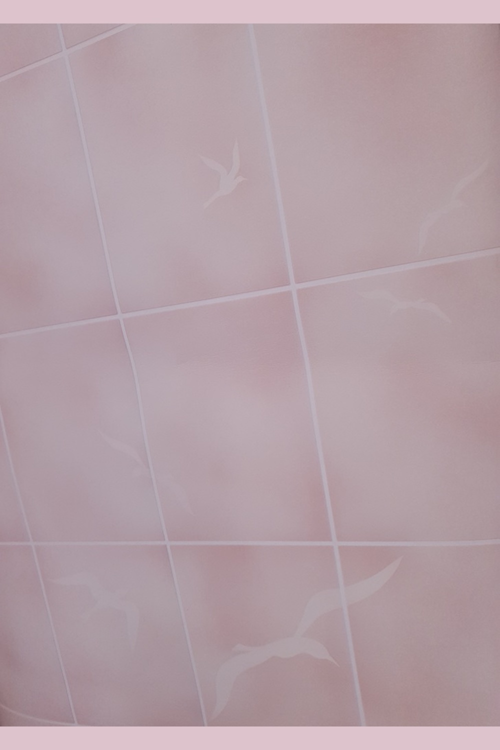 Roze vinyl met meeuwen