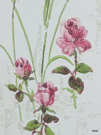 Rozen behang met charme