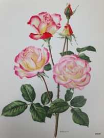 Vintage rozenposter, Handel