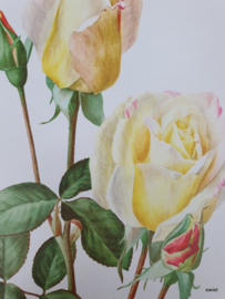 Vintage rozenposter, Garden Party
