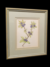 Ingelijste aquarel