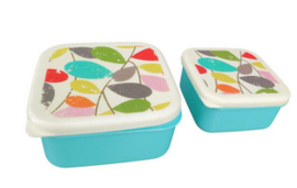 plastic voorraadbakjes