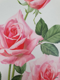 Vintage rozenposter, Cordial