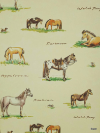 Vintage paardenbehang