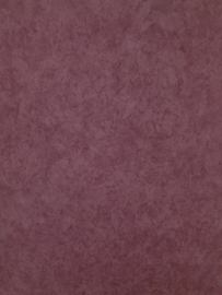 Ossenrood betonlook behang