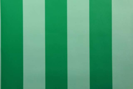 Groen streepjesbehang